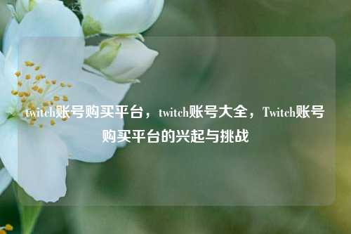 twitch账号购买平台，twitch账号大全，Twitch账号购买平台的兴起与挑战