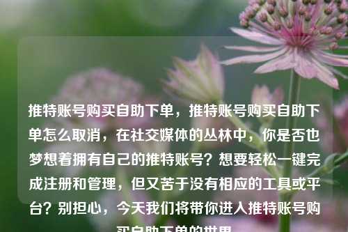 推特账号购买自助下单，推特账号购买自助下单怎么取消，在社交媒体的丛林中，你是否也梦想着拥有自己的推特账号？想要轻松一键完成注册和管理，但又苦于没有相应的工具或平台？别担心，今天我们将带你进入推特账号购买自助下单的世界