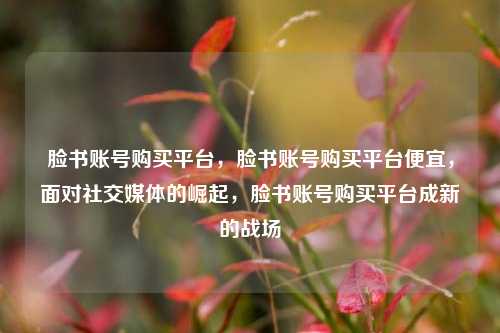 脸书账号购买平台，脸书账号购买平台便宜，面对社交媒体的崛起，脸书账号购买平台成新的战场