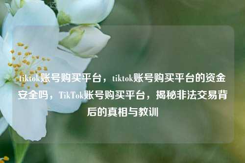 tiktok账号购买平台，tiktok账号购买平台的资金安全吗，TikTok账号购买平台，揭秘非法交易背后的真相与教训