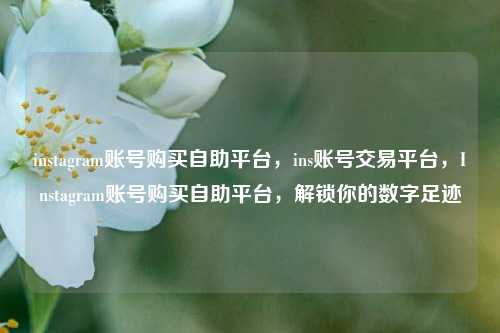 instagram账号购买自助平台，ins账号交易平台，Instagram账号购买自助平台，解锁你的数字足迹