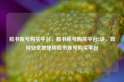 脸书账号购买平台，脸书账号购买平台2块，如何安全地使用脸书账号购买平台