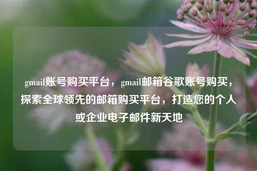 gmail账号购买平台，gmail邮箱谷歌账号购买，探索全球领先的邮箱购买平台，打造您的个人或企业电子邮件新天地