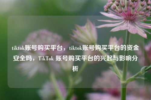 tiktok账号购买平台，tiktok账号购买平台的资金安全吗，TikTok 账号购买平台的兴起与影响分析  第1张