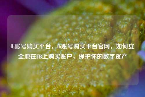 fb账号购买平台，fb账号购买平台官网，如何安全地在FB上购买账户，保护你的数字资产