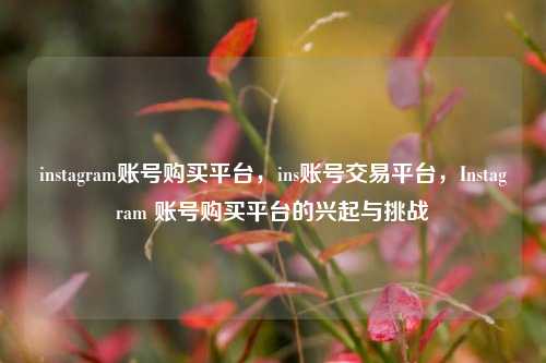 instagram账号购买平台，ins账号交易平台，Instagram 账号购买平台的兴起与挑战