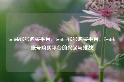 twitch账号购买平台，twiiter账号购买平台，Twitch账号购买平台的兴起与挑战