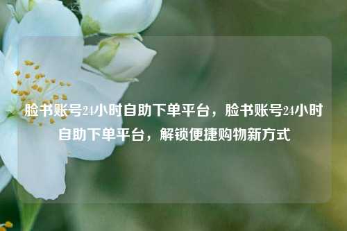 脸书账号24小时自助下单平台，脸书账号24小时自助下单平台，解锁便捷购物新方式