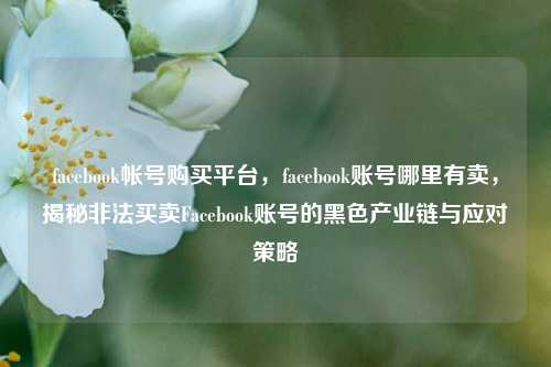 facebook帐号购买平台，facebook账号哪里有卖，揭秘非法买卖Facebook账号的黑色产业链与应对策略
