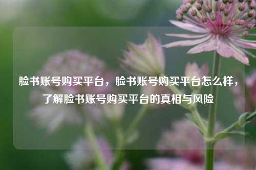 脸书账号购买平台，脸书账号购买平台怎么样，了解脸书账号购买平台的真相与风险