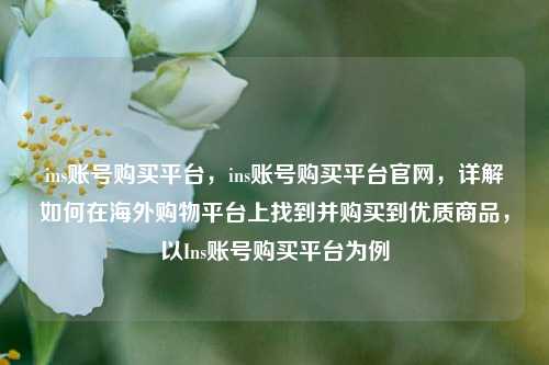 ins账号购买平台，ins账号购买平台官网，详解如何在海外购物平台上找到并购买到优质商品，以Ins账号购买平台为例