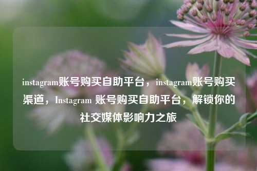 instagram账号购买自助平台，instagram账号购买渠道，Instagram 账号购买自助平台，解锁你的社交媒体影响力之旅