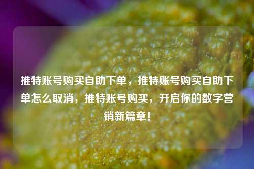 推特账号购买自助下单，推特账号购买自助下单怎么取消，推特账号购买，开启你的数字营销新篇章！