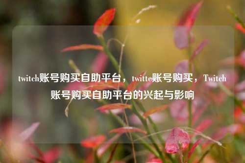 twitch账号购买自助平台，twitte账号购买，Twitch账号购买自助平台的兴起与影响