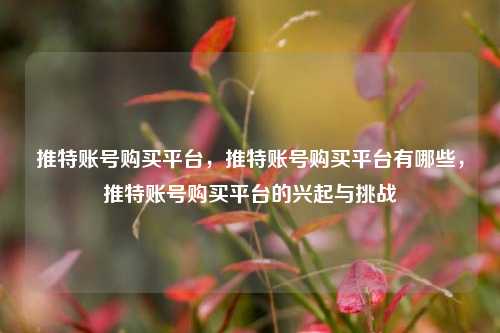 推特账号购买平台，推特账号购买平台有哪些，推特账号购买平台的兴起与挑战