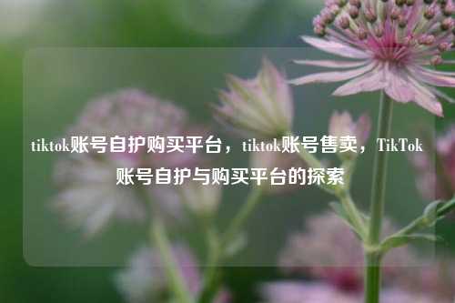 tiktok账号自护购买平台，tiktok账号售卖，TikTok 账号自护与购买平台的探索