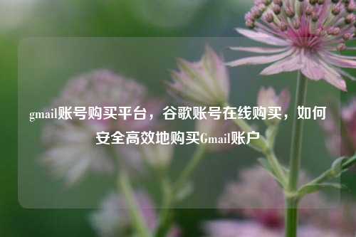 gmail账号购买平台，谷歌账号在线购买，如何安全高效地购买Gmail账户