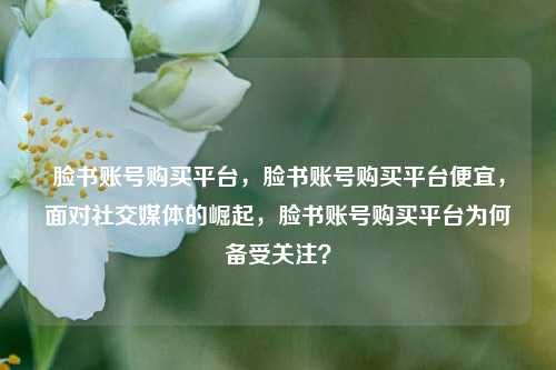 脸书账号购买平台，脸书账号购买平台便宜，面对社交媒体的崛起，脸书账号购买平台为何备受关注？