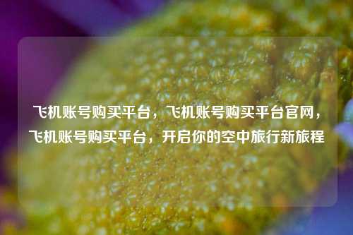 飞机账号购买平台，飞机账号购买平台官网，飞机账号购买平台	，开启你的空中旅行新旅程  第1张