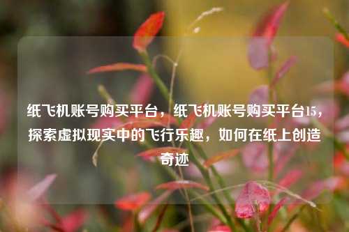 纸飞机账号购买平台，纸飞机账号购买平台15	，探索虚拟现实中的飞行乐趣，如何在纸上创造奇迹  第1张
