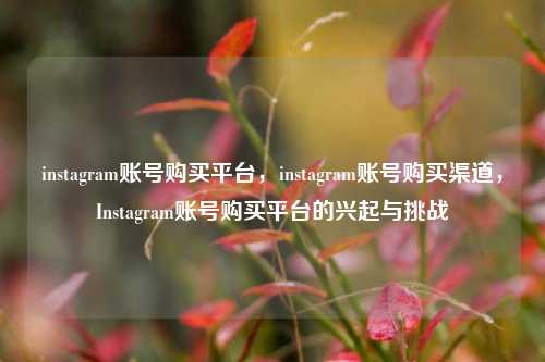instagram账号购买平台，instagram账号购买渠道，Instagram账号购买平台的兴起与挑战