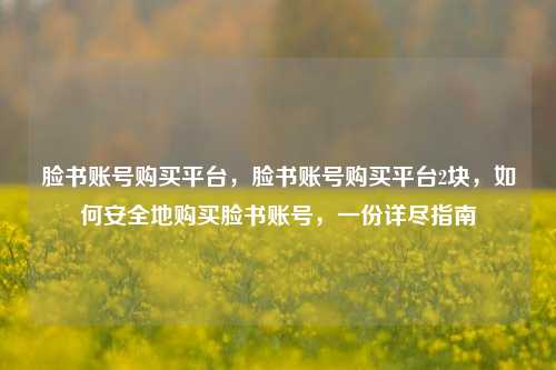 脸书账号购买平台，脸书账号购买平台2块，如何安全地购买脸书账号，一份详尽指南