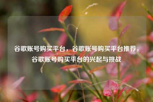 谷歌账号购买平台，谷歌账号购买平台推荐，谷歌账号购买平台的兴起与挑战