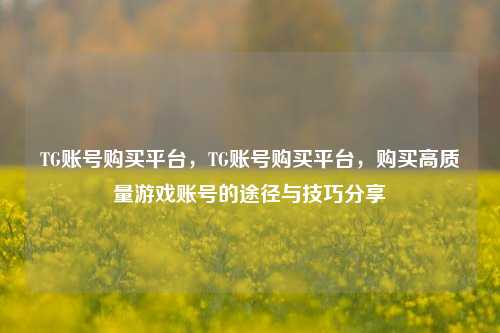 TG账号购买平台，TG账号购买平台，购买高质量游戏账号的途径与技巧分享