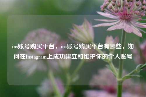 ins账号购买平台，ins账号购买平台有哪些，如何在Instagram上成功建立和维护你的个人账号