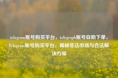 telegram账号购买平台，telegraph账号自助下单，Telegram账号购买平台，揭秘非法市场与合法解决方案
