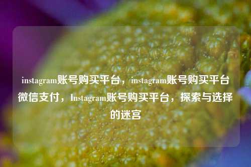 instagram账号购买平台，instagram账号购买平台微信支付，Instagram账号购买平台，探索与选择的迷宫