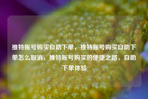 推特账号购买自助下单，推特账号购买自助下单怎么取消，推特账号购买的便捷之路，自助下单体验