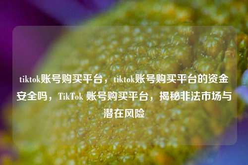 tiktok账号购买平台，tiktok账号购买平台的资金安全吗，TikTok 账号购买平台	，揭秘非法市场与潜在风险  第1张