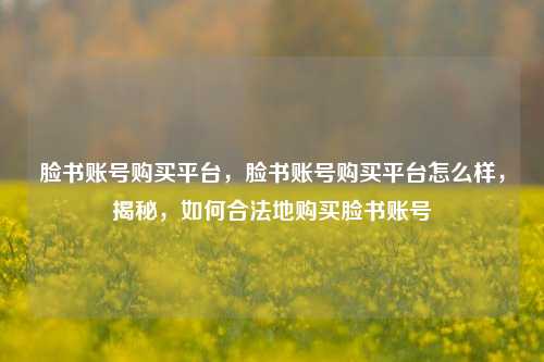 脸书账号购买平台，脸书账号购买平台怎么样，揭秘，如何合法地购买脸书账号