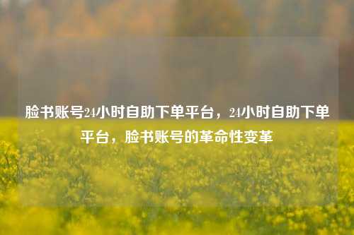 脸书账号24小时自助下单平台，24小时自助下单平台，脸书账号的革命性变革