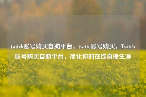 twitch账号购买自助平台，twitte账号购买，Twitch账号购买自助平台，简化你的在线直播生涯