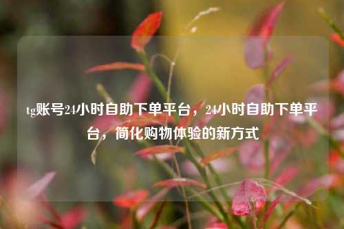 tg账号24小时自助下单平台	，24小时自助下单平台，简化购物体验的新方式  第1张