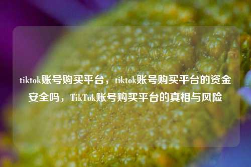 tiktok账号购买平台，tiktok账号购买平台的资金安全吗，TikTok账号购买平台的真相与风险