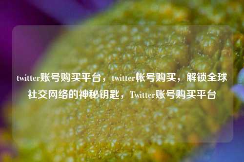 twitter账号购买平台，twitter帐号购买，解锁全球社交网络的神秘钥匙	，Twitter账号购买平台  第1张