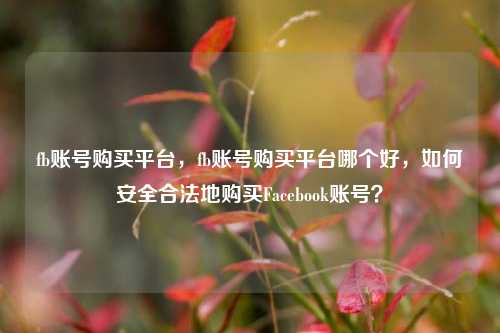 fb账号购买平台，fb账号购买平台哪个好，如何安全合法地购买Facebook账号？