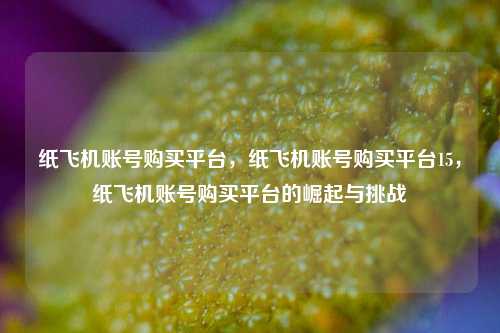 纸飞机账号购买平台，纸飞机账号购买平台15，纸飞机账号购买平台的崛起与挑战