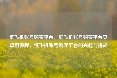 纸飞机账号购买平台，纸飞机账号购买平台安卓用保障，纸飞机账号购买平台的兴起与挑战