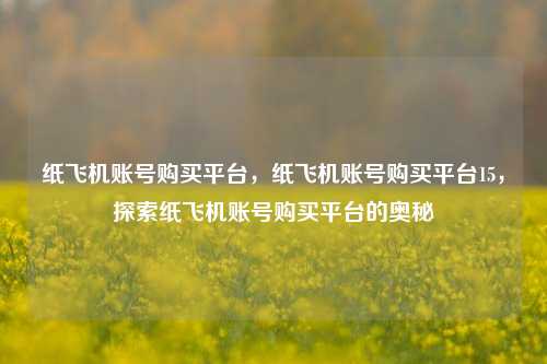 纸飞机账号购买平台，纸飞机账号购买平台15，探索纸飞机账号购买平台的奥秘