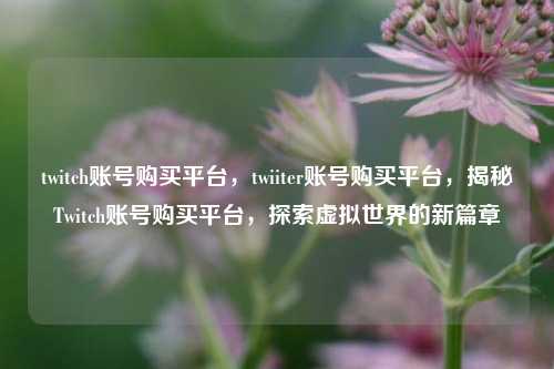 twitch账号购买平台，twiiter账号购买平台，揭秘Twitch账号购买平台，探索虚拟世界的新篇章