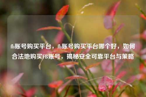 fb账号购买平台，fb账号购买平台哪个好，如何合法地购买FB账号，揭秘安全可靠平台与策略