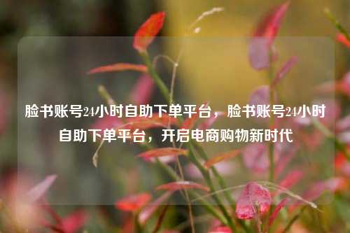脸书账号24小时自助下单平台，脸书账号24小时自助下单平台，开启电商购物新时代