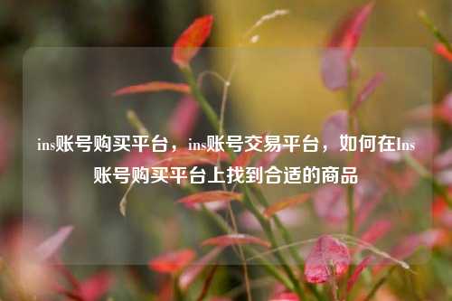 ins账号购买平台，ins账号交易平台，如何在Ins账号购买平台上找到合适的商品