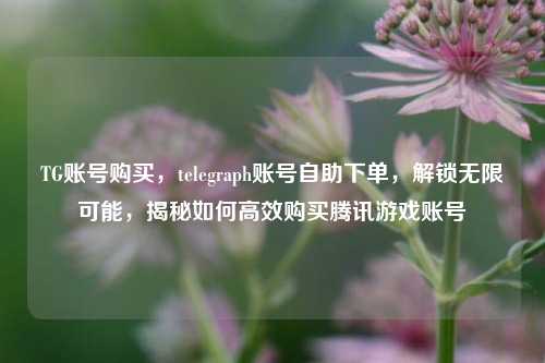 TG账号购买，telegraph账号自助下单	，解锁无限可能，揭秘如何高效购买腾讯游戏账号  第1张
