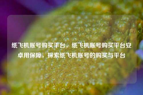 纸飞机账号购买平台，纸飞机账号购买平台安卓用保障，探索纸飞机账号的购买与平台