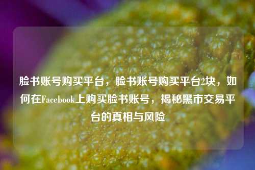 脸书账号购买平台，脸书账号购买平台2块，如何在Facebook上购买脸书账号，揭秘黑市交易平台的真相与风险